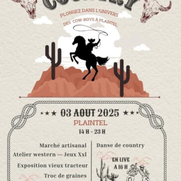 Marché de créateurs Plaintel - Atelier carterie origami artisanal - BrinBelle